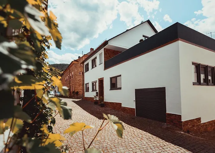 Exklusive Ferienwohnung An Der Mosel - Top Ausstattung - Dachterrasse - E-Ladestation - Netflix